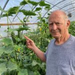 Figure 1. Dennis Parr in the cucumber hoop house (Photo by Dennis Parr).