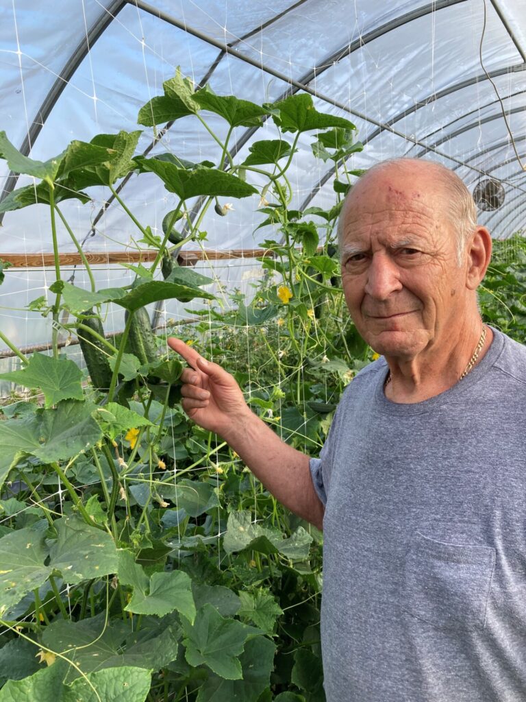 Figure 1. Dennis Parr in the cucumber hoop house (Photo by Dennis Parr).