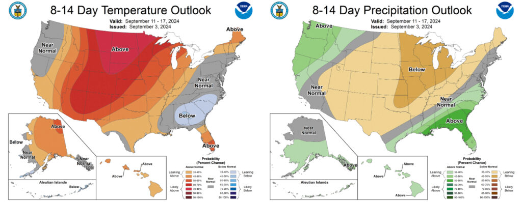 Figure 5: The Climate Prediction Center’s 8-14 Day Temperature and Precipitation Outlook, valid September 11-17, 2024.