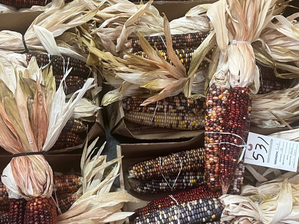 Figure 3. Ornamental corn at the produce auction (Photo by Jeff Burbrink).