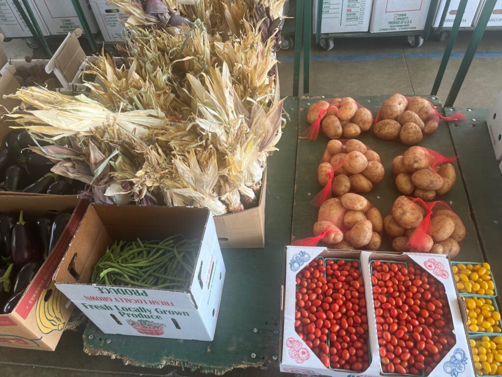 Figure 1. Tomatos, potatos, Ornamental corn, green beans and eggplant at the produce auction (Photo by Jeff Burbrink).