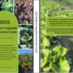 2025 Midwest Vegetable Guide