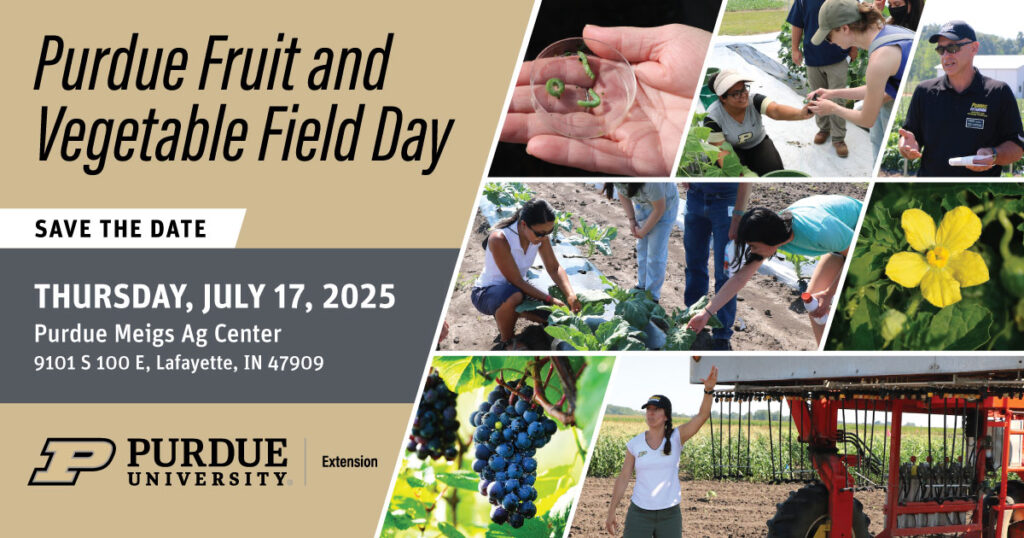 Fruit and Veg Field Day 2025_SaveDate