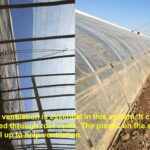 Passive solar greenhouse ventilation