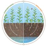 Resilient Ag Systems