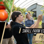 Small Farm Field Day, July 24, 2025