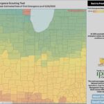 Weed Emergence Scouting Tool