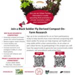 Black soldier fly compost research flyer