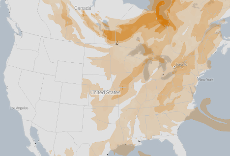 Figure 1. Example of the NOAA experimental forecast product showing smoke intensity for 3 PM EDT on Wednesday, June 4, 2025. Product enhanced by the New York Times.