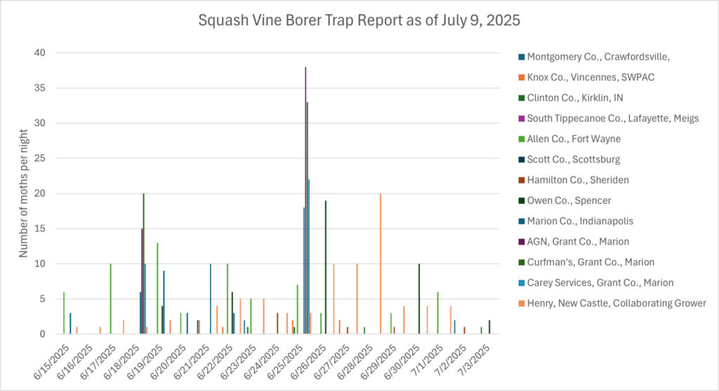 Figure 1. Squash Vine Borer trap report-July 9, 2025.
