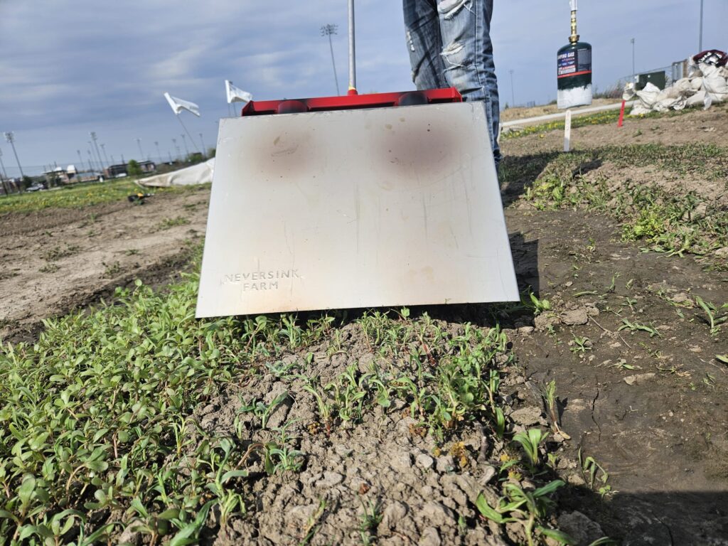 Figure 2. Propane-powered flame weeder targeting weeds in a prepared bed prior to planting (Photo by Celia Corado).