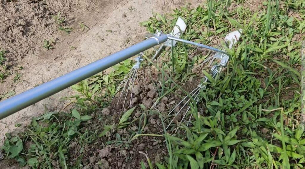 Figure 4. Magic Weeder in action, gently disturbing the soil around onions to dislodge in-row weeds (Photo by Celia Corado).