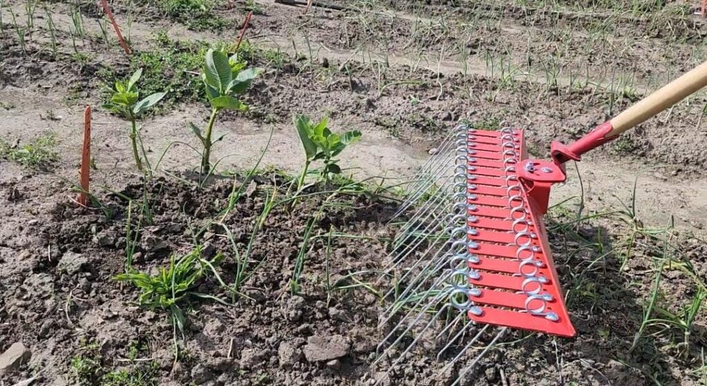 Figure 3. Tine harrow designed for small-scale farming, effective for early post-emergent weed control (Photo by Jeanine Arana).