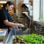 Food safety