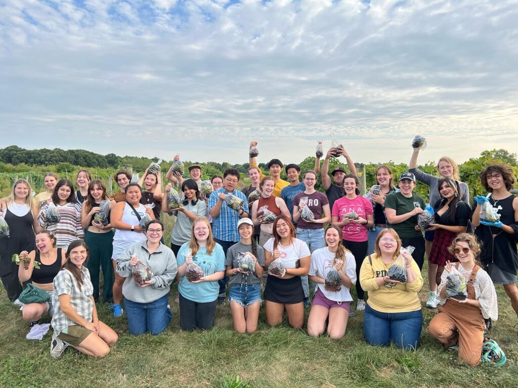 Figure 2. Purdue Student Farm Organization (PSFO) students were helping Miranda Purcell to harvest grapes at The Meigs Horticulture Facility (Photo by PSFO member).