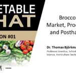 Vegetable Chat. Broccoli Market Production and Postharvest