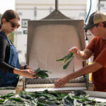 Figure 1. Two student workers at the Purdue Student Farm washing lettuce using a vegetable washer (Photo by Joshua Clark, Purdue University College of Agriculture).