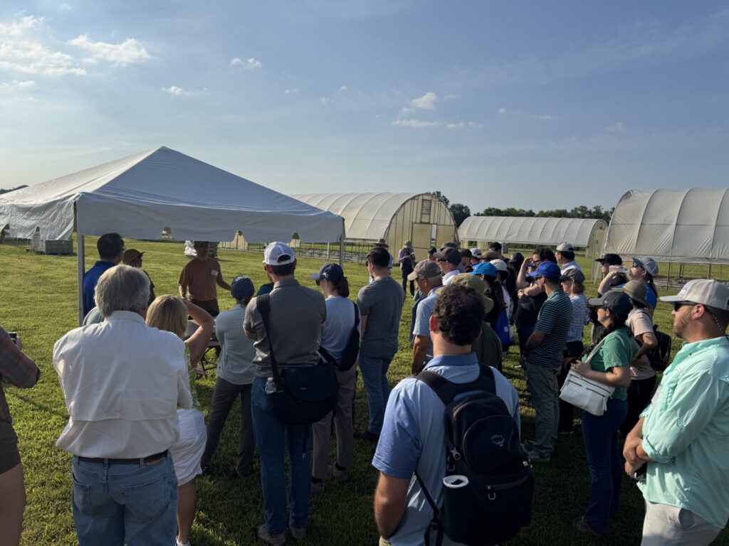 Attendees at the Fruit and Vegetable field day listen to Sydney Territo and Tucker LaRue talk about pollination and pest management in high tunnel tomato.