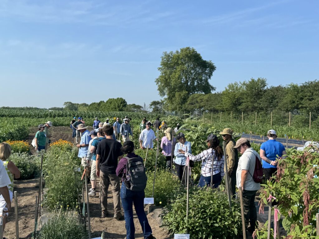 Attendees listen to Laura Ingwell and Charlie Fox talk about how cultural practices influence flower timing and marketable yield.