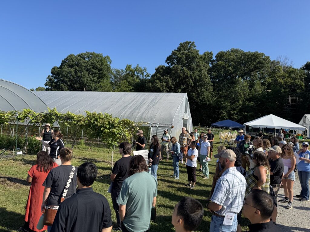Small Farm Education field day attendees listen to Laura Ingwell talking about flower production in between rows of grapevines.