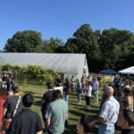 Small Farm Education field day attendees listen to Laura Ingwell talking about flower production in between rows of grapevines.