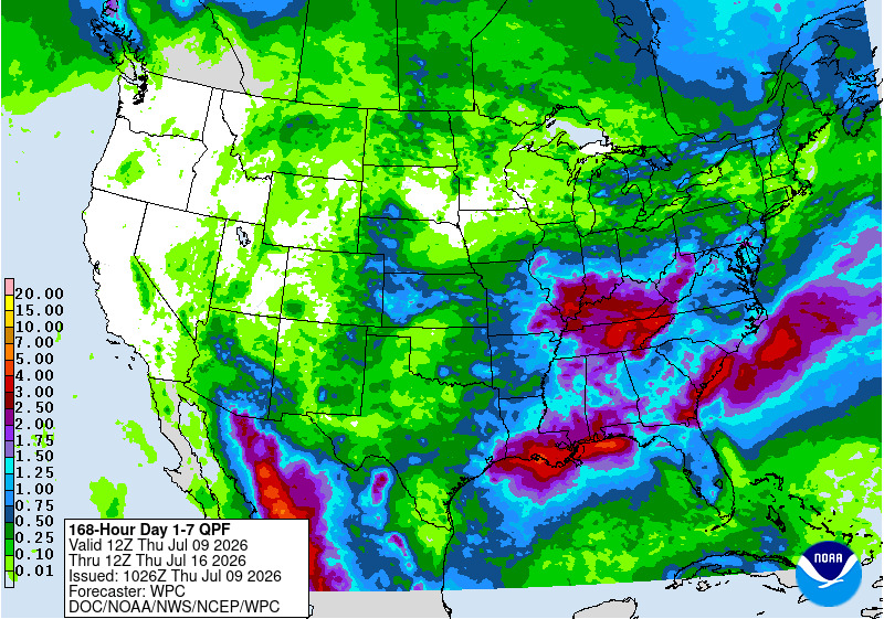 Precipitation map for the period July 9 to 16, 2026.
