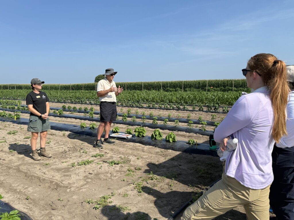 Attendees at the Fruit and Vegetable field day listen to Alex Snabes and Petrus Langenhoven talk about scotch bonnet variety performance and mechanical harvest potential.