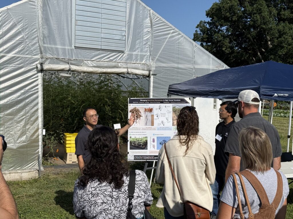 Small Farm Education field day attendees listen to Lei Zhang talking about managing root-knot nematode in high tunnel tomato production.