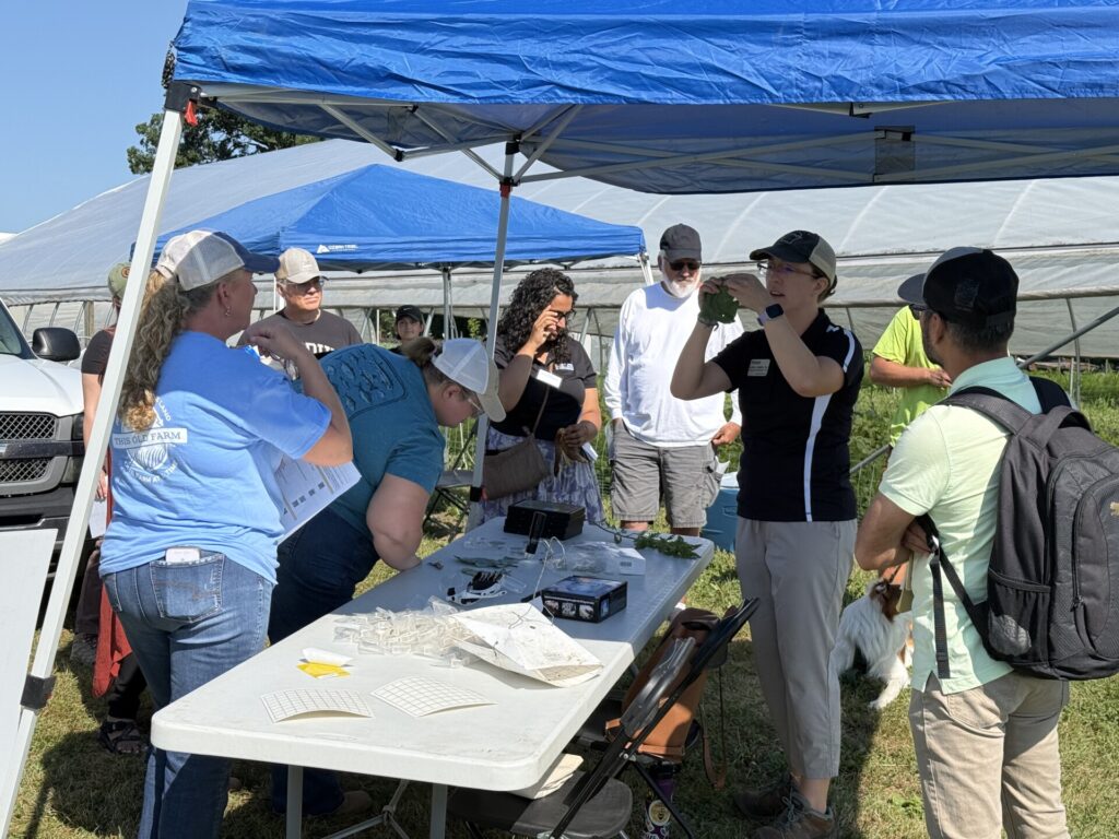 Small Farm Education field day attendees listen to Laura Ingwell talk about scouting as an essential part of integrated pest management.