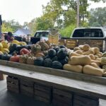 Farm market display featuring pumpkins, acorn squash, butternut squash, delicata squash, and other fall produce arranged on wooden tables.