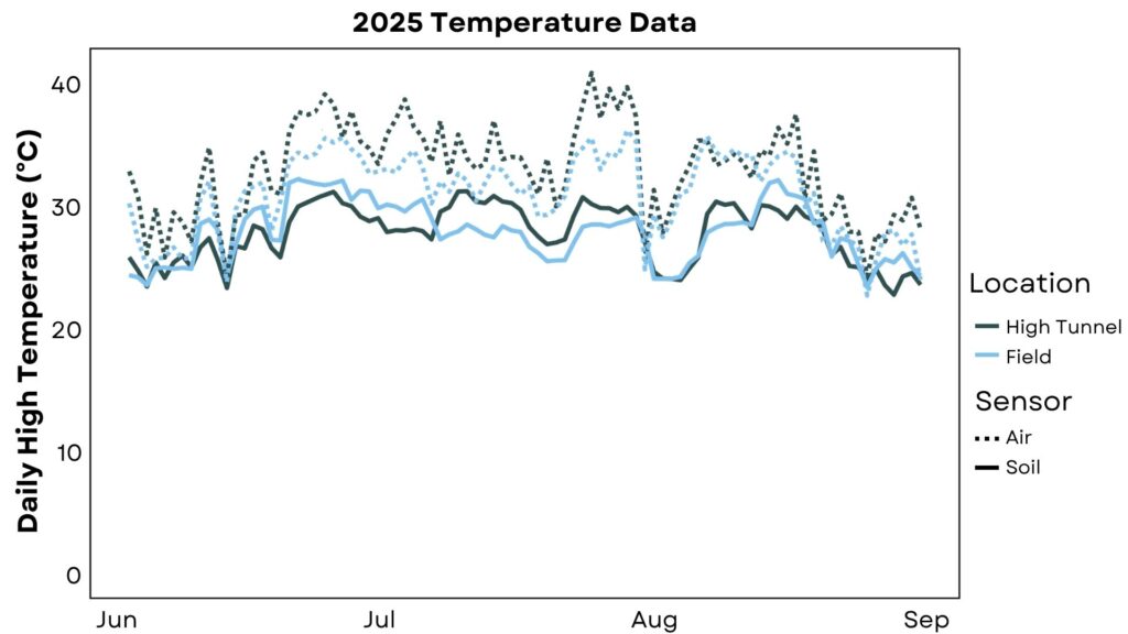 Air and soil temperature data