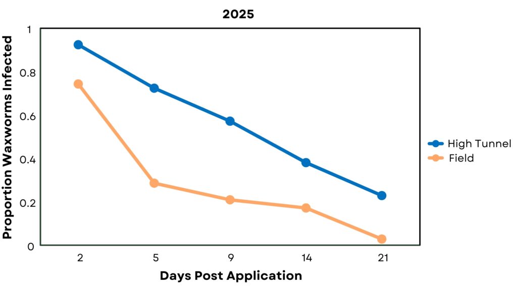 Graph indicating wax worm infection rates due to the presence of EPN